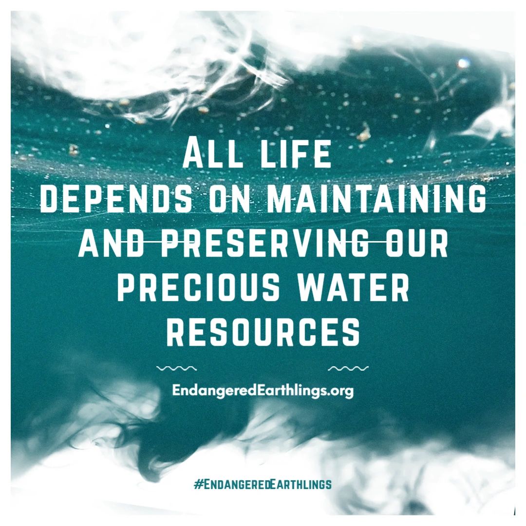 To learn more about how to live in a world with dwindling resources, read The Endangered Earthlings' Handbook (Link in bio)