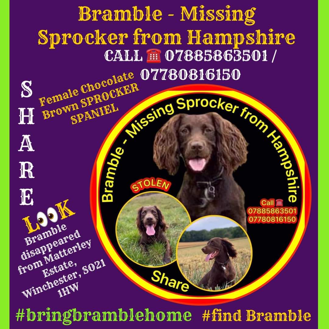 #findbramble