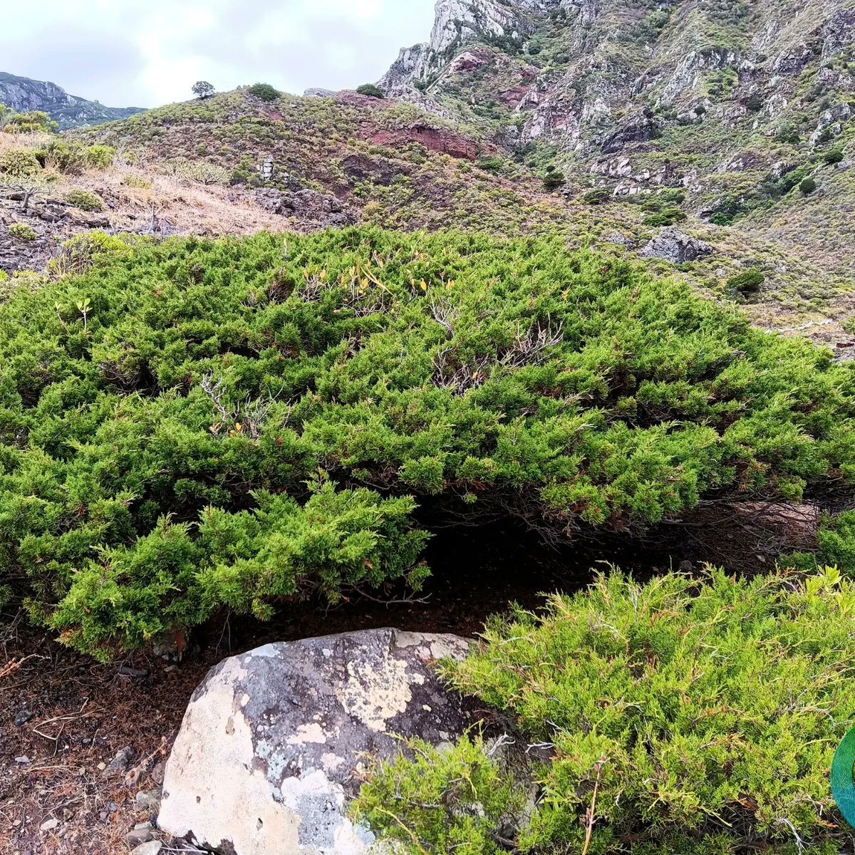 telegra.ph/Control-Rabo-d…