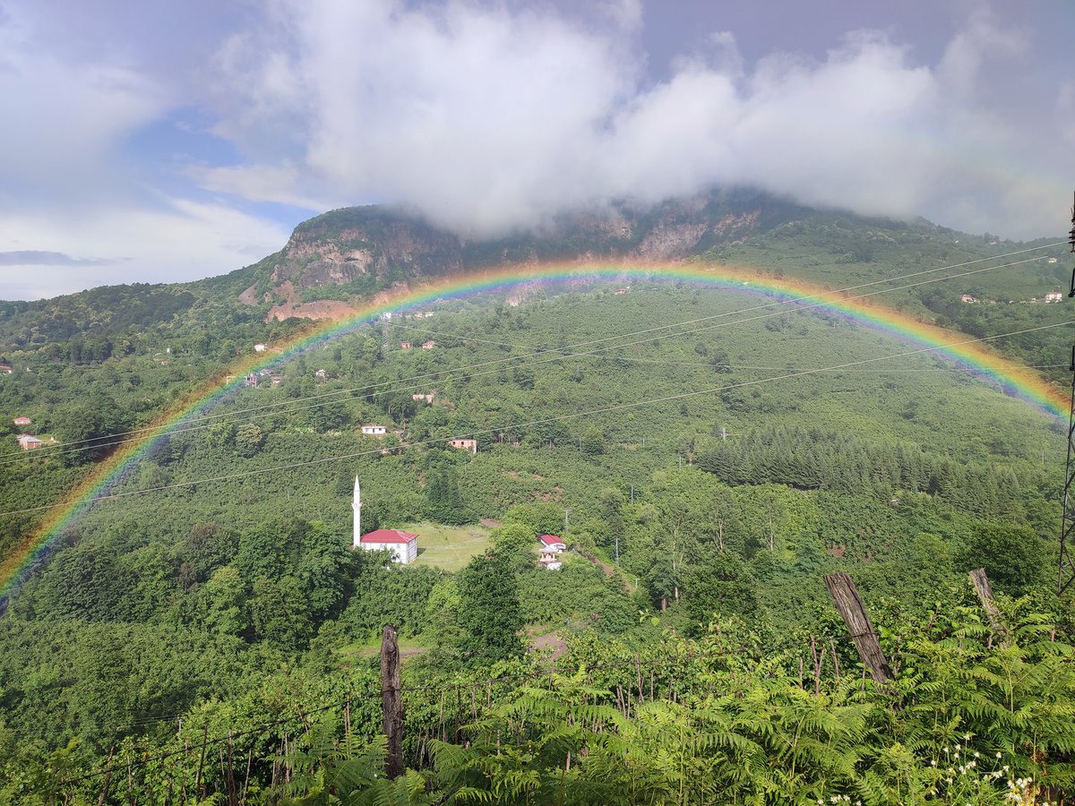 Birkaç sapık sahiplendi diye, Tanrı'nın, gökyüzüne bıraktığı süsüne düşman olacak değiliz ya!