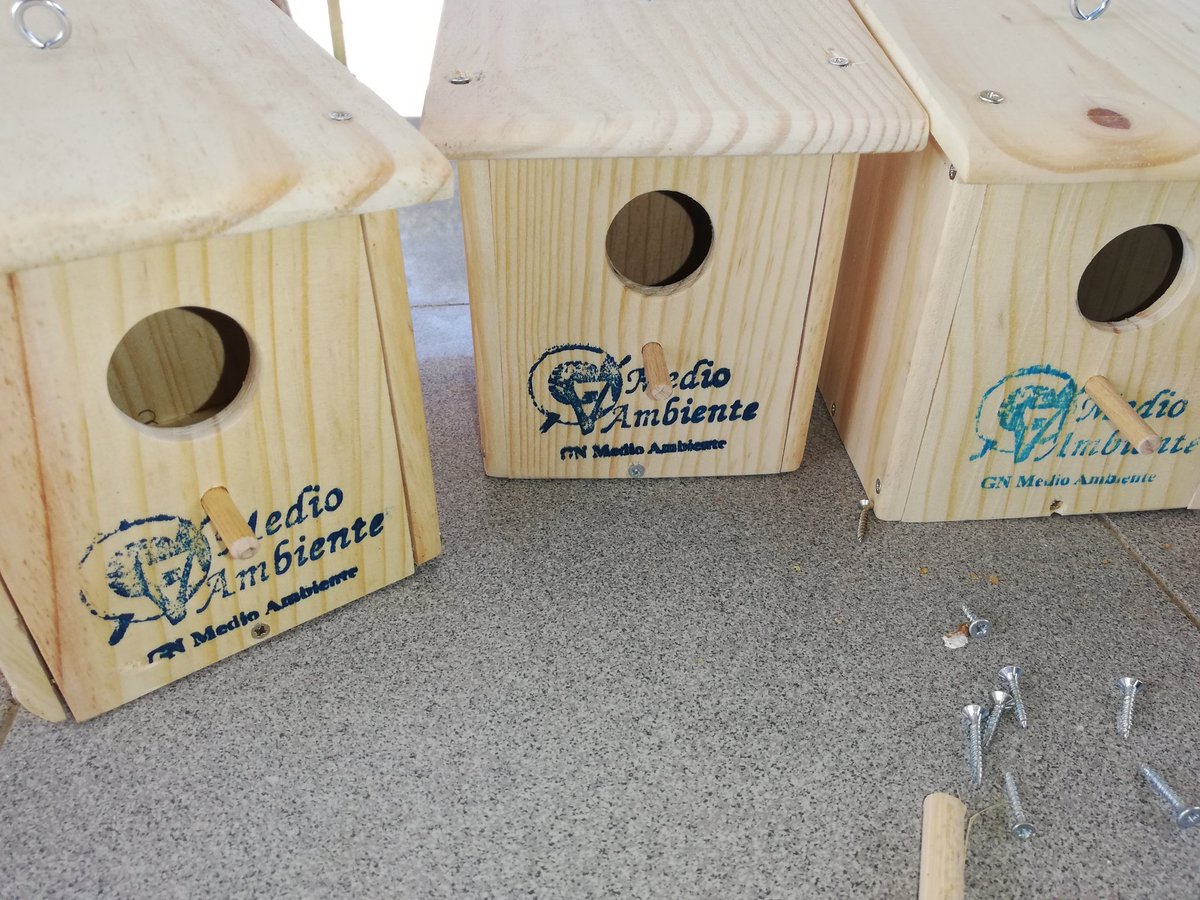 GNMedioAmbiente's tweet photo. También instalamos #cajasnido para promover las poblaciones de #paseriformes Pequeños pajarillos #insectívoros como el #carbonero y el #herrerillo perfectos aliados para combatir la #moscanegra y los #mosquitos que pueden proliferar en los ríos #Henares y #Jarama @chtajo https://t.co/R9RyY2fVkr