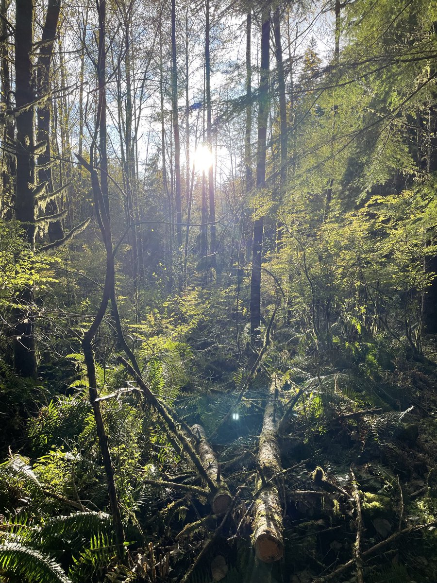 peyxander's tweet photo. Most underestimate The healing effects and overall power of the sun 🌞 

The sun is the giver of all life, nothing on this earth would exist besides cold hard rock without it. 

do not be afraid of it go outside and let the sun bring you life~ https://t.co/QPrq9opsn0