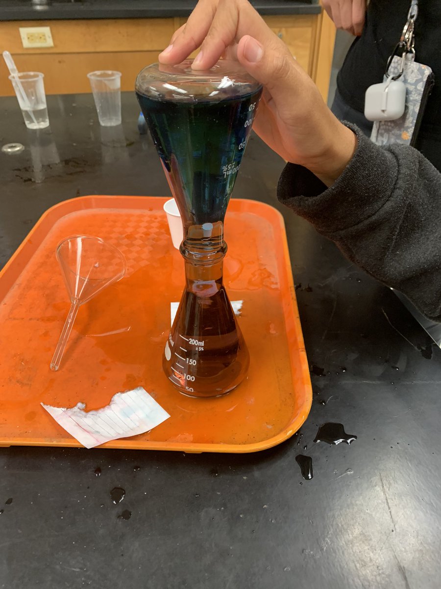 lauraf422's tweet photo. Day 1 of Jumpstart @GreatDay2BAHawk complete. Intro activity helped us learn that our group is diverse with students born in the Philippines &amp; Costa Rica. Plus a fun density lab. Can’t wait for day 2. #jumpstartbiology2022 @chapman_louise  @volusiaschools  @VCSscience https://t.co/2RqbRWKNQD
