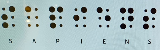 Join the SAPIENS EARLY SOCIAL DEVELOPMENT (SESD) CONFERENCE! Open, free and accessible for everyone! We're receiving abstracts until the 17th of July: sapiensconference.org