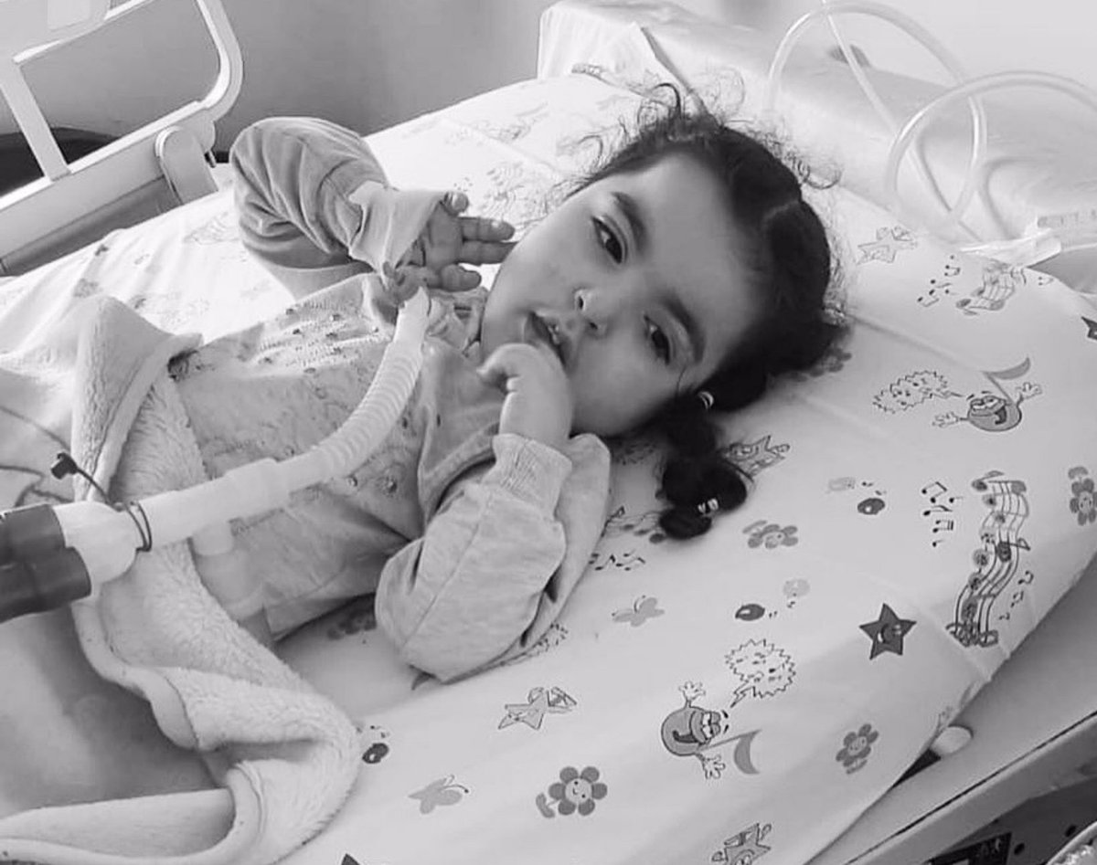 SON 400 GR❗
Ebrar'ın kilo sınırını aşmadan ilacını alması gerekiyor. Lütfen yarın çok geç olmadan yardım edin.
EBRAR YAŞASIN🙏🏻

#WhatsApp #HandeErçel #Brent #shiba #DolarTL #Survivor