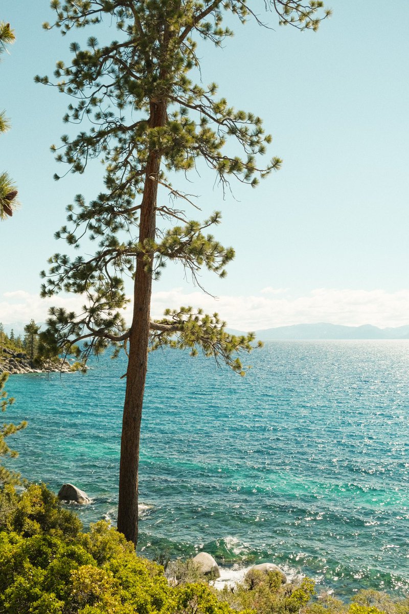 jvkewillivms's tweet photo. Tahoe summer. #fujifilm https://t.co/0hbz6HEl8r