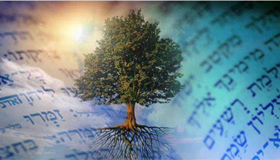 Today is the first day of classes for "Introduction to Hebrew Scriptures, instructed by Daniel Bogert-O'Brien. Welcome to all students starting this course! #education #scriptures #theology