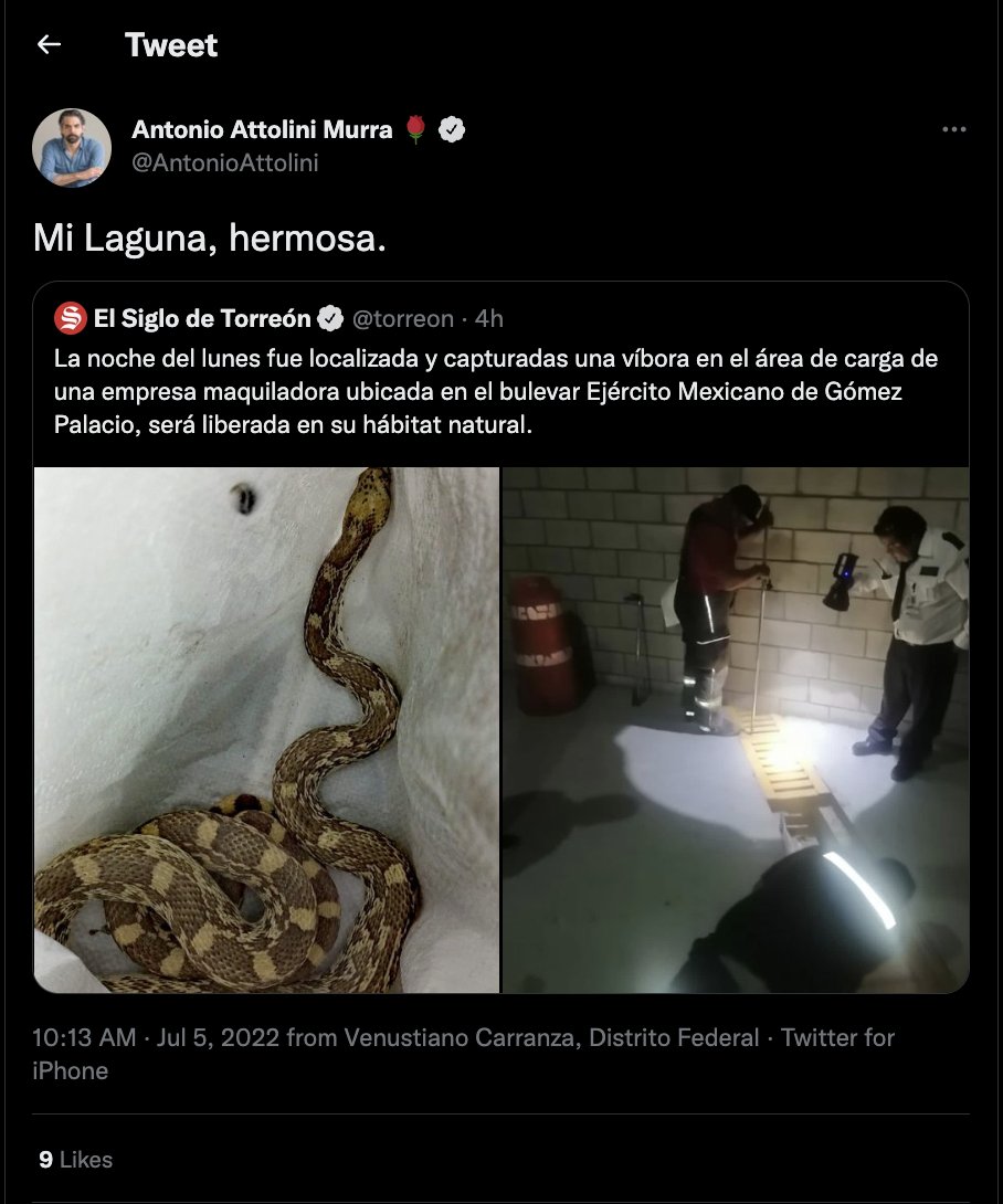 HumillAttolini's tweet image. Vives en la CDMX, Antontio.

Para de mamar.