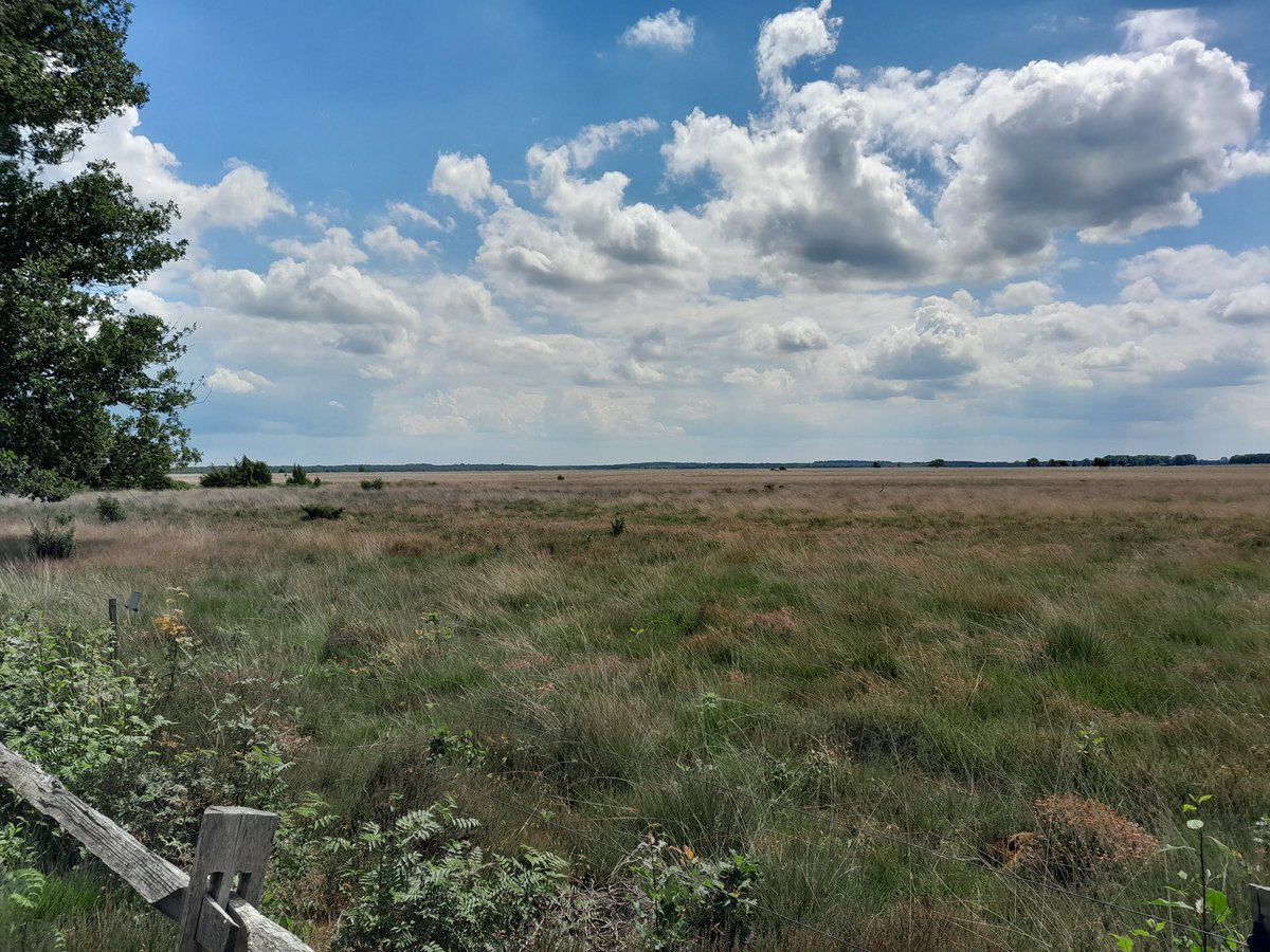 Met dat mooie weer van vanmiddag voor het werk maar even een rondje Dwingelderveld gefietst om één en ander te bekijken om daarna weer vervolg te kunnen zetten. #NP_Dwingelderveld #kinderfietsroute #beleven <a href="/Dwingelderveld/">NP Dwingelderveld</a> @Recreatieschap #lovemyjob