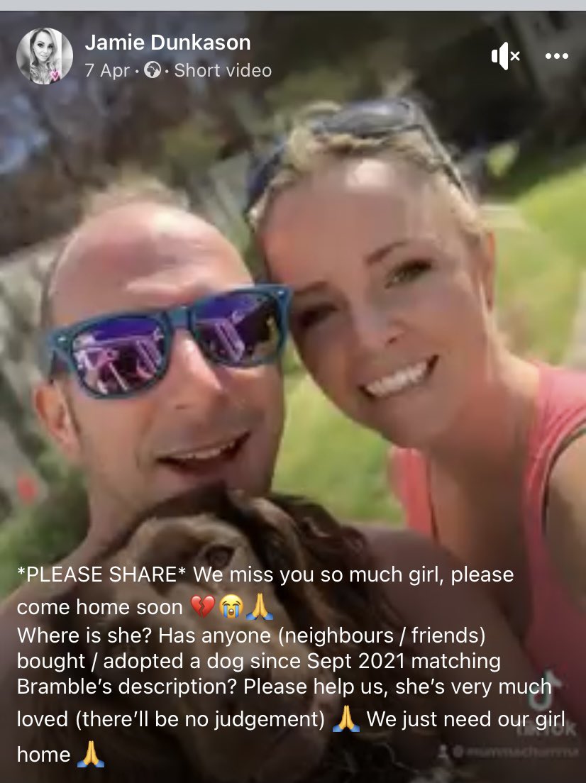 rosieDoc2's tweet photo. #findBramble
BRING HER HOME
MAKE HER FAMILY WHOLE AGAIN
https://t.co/HDyKfDsn5I
@thomp918 @mazzy1412 @BBCCrimewatch @pettheftaware @TinaTowers3 @MsTKIndeed @thedogfinder @joannew0112 @blacklab115 @WYP_CNewsome @BryantDjbryant @SheridanAlcock @BitofDecorum @bs2510 https://t.co/vSYeRrtITN