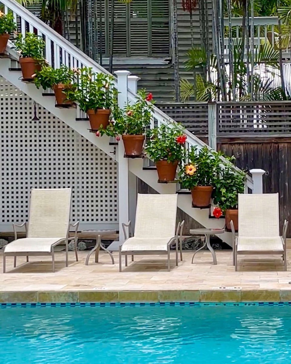 MarquesaHotel's tweet photo. For some reason a morning cup of coffee (or an afternoon cocktail) tastes so much better poolside in Key West! #MarquesaPool #MarquesaTime
Book: https://t.co/gd7trgVdnz https://t.co/eAn9JWjP3b