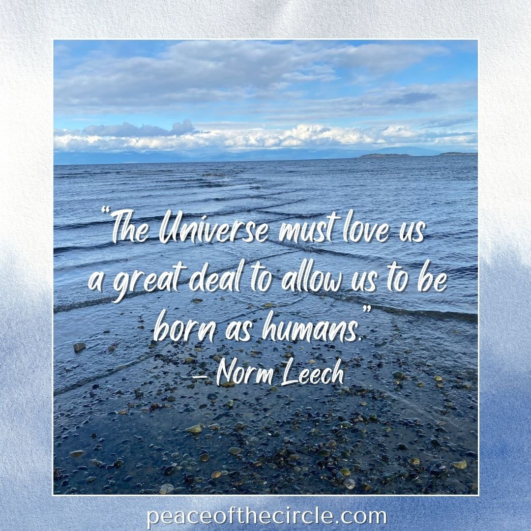 Dr Evelyn Zellerer tweet media