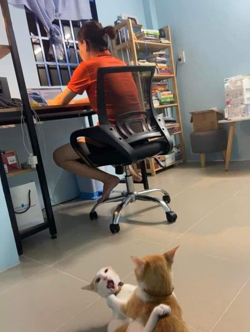 Contamos con un buen ambiente laboral
*El ambiente laboral*