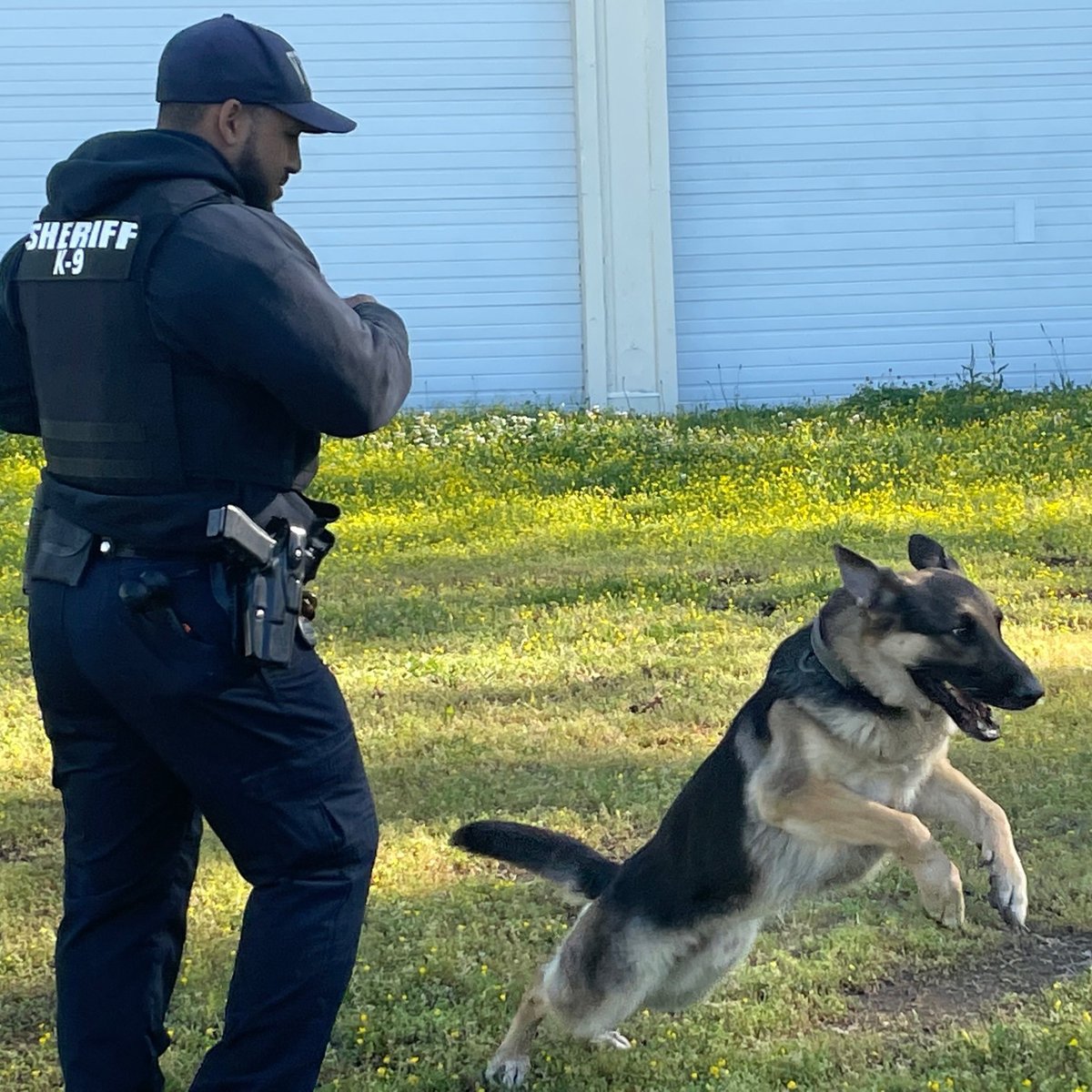 VBSO's tweet photo. Congratulations to Master Deputy Aaron Whitehead on becoming the VBSO's first K9 Explosives Trainer since the inception of our K9 program. MD Whitehead was certified June 6 from the Virginia Police Work Dog Association. #K9deputies #explosivestraining #sheriffsoffice https://t.co/diObci5HCW
