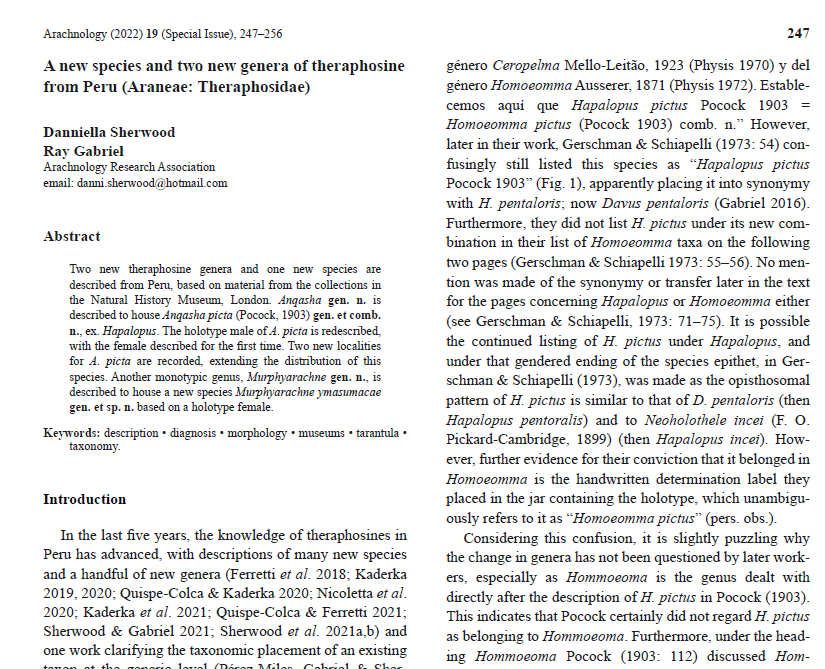 ArachnoTrAC's tweet photo. Sherwood &amp; Gabriel (2022) described and published two new genera (Anqasha and Murphyarachne) of theraphosine mygalomorph spiders (Theraphosidae), with the description of a new species from Peru! 

More at: https://t.co/rbzu1CmJ6m https://t.co/Jc9rJYSQ7c