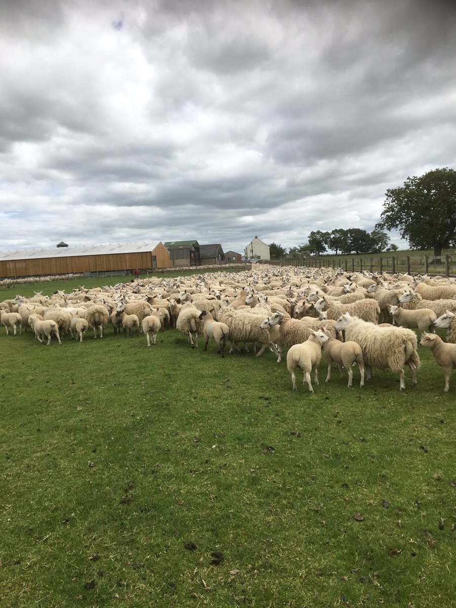 Robert Atkinson tweet media