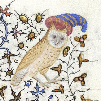 owl wearing a funny hat, france, 15th century