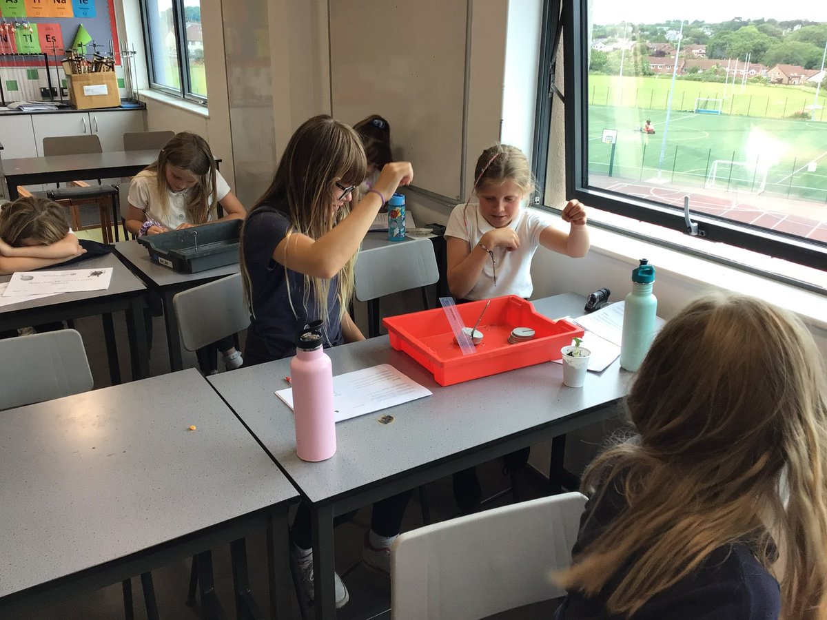ysgolyddraig's tweet photo. #YYDtransition Thank you @LlantwitMajorSc for providing #YYDyear5 with an exciting day 29.6.22 using science to analyse evident from a fictional crime scene #YYDstem #YYDambitiouscapablelearners https://t.co/lQqYdOMmgH