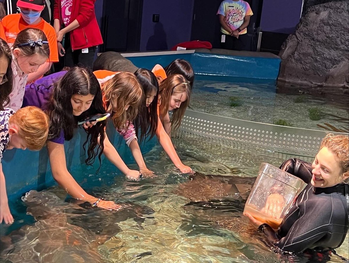 umcollege's tweet photo. What a productive day! π€©π
Stroll under North America's longest
What a productive day for our summer camp students! π€©π
Stroll under North America's longest viewing tunnel at Ripley's Aquarium of Canada. Spectacular views of Toronto from CN Tower! π³ππΌ
#UMC #umcsummercamp https://t.co/cKiIySHThF