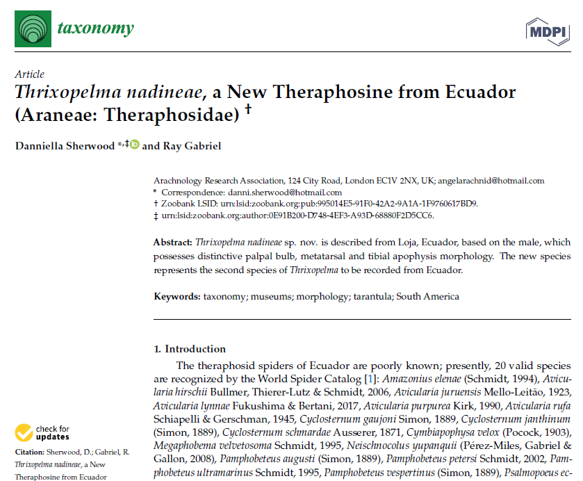 ArachnoTrAC's tweet photo. Sherwood &amp; Gabriel (2022) described a new species of the mygalomorph spider genus Thrixopelma (Theraphosidae) from southern Ecuador, at Loja Province! The new species represents the second species of the genus to be recorded from Ecuador.

More at: https://t.co/rbzu1C57HM https://t.co/RbzKHWfnpH