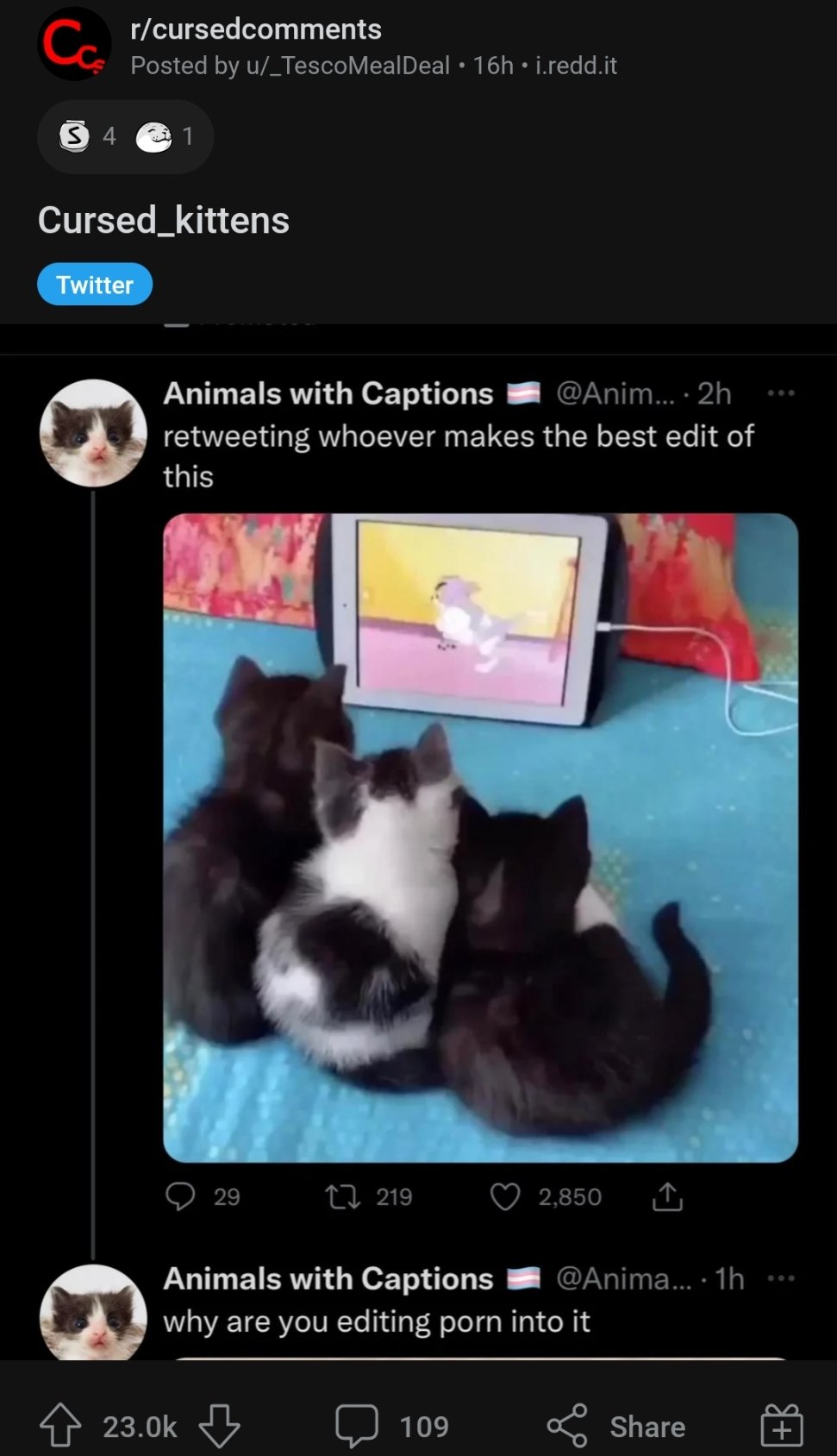 Animal Captions - Animals with Captions ðŸ™ on Twitter: \