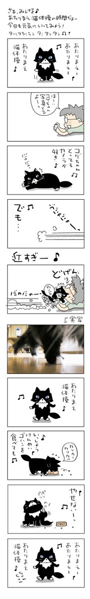 あたりまえ猫体操3
#こんなん描いてます #自作まんが #漫画 
#猫まんが #4コママンガ #NEKO3 