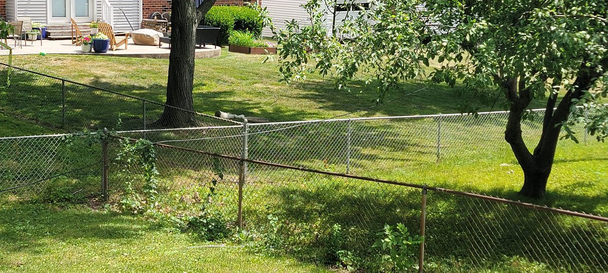 lammertcw's tweet photo. Hey @GetSpectrum how many times do I have to call for you to get your damn cable out of my yard? It's been over a year. https://t.co/PlFAATC0iH