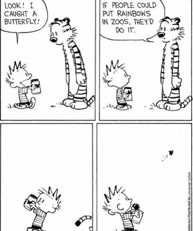 Happy birthday to bill watterson this is my favorite comic strip in the history of ever 