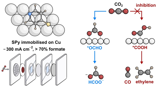 angew_chem's tweet photo. Molecular Inhibition for Selective #CarbonDioxide Conversion (Fontecave) @ccreissen https://t.co/wk0xq5MEQI https://t.co/Z5mbOoQukO