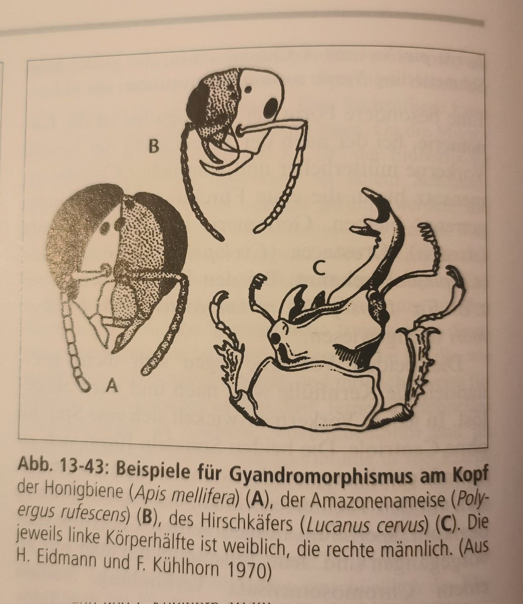 Tobias Erik Reiners tweet media