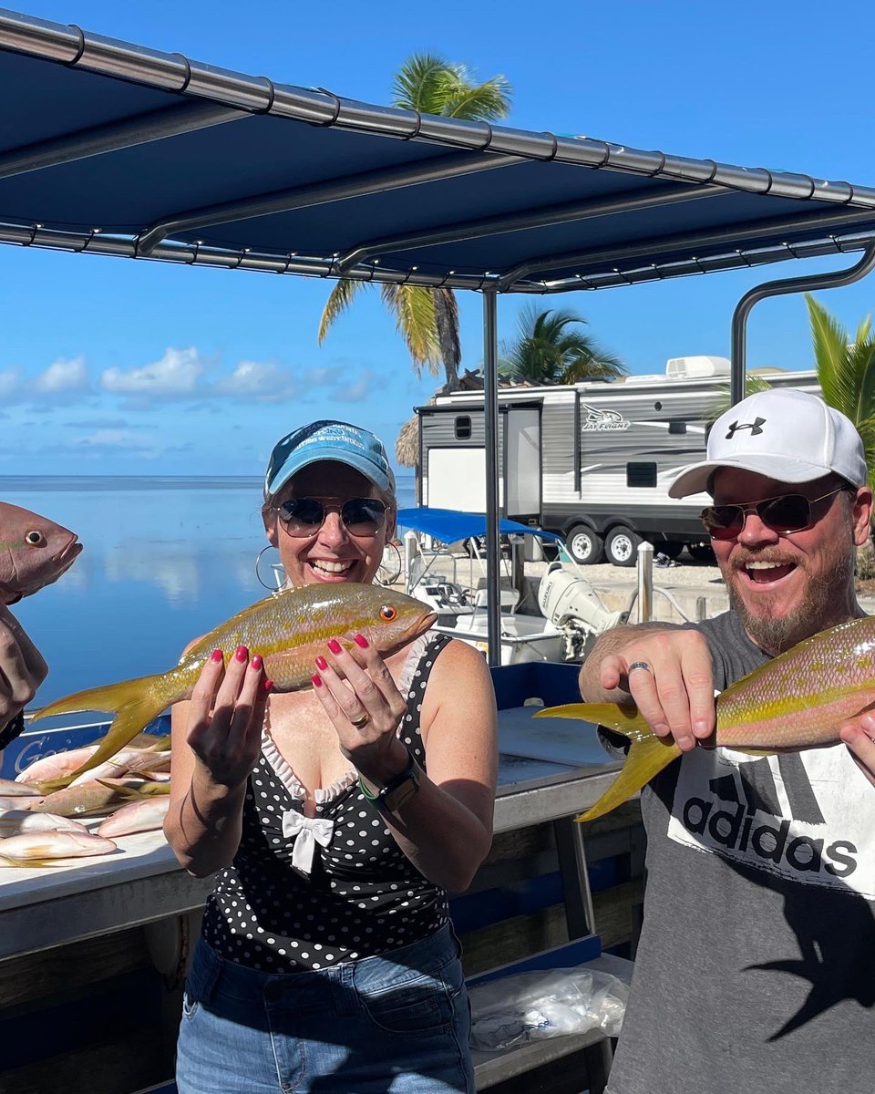 ChiefDogKevin's tweet photo. A great morning #fishing for the Van Cura  family (Plant City, FL) Limited out on mostly large yellowtail snapper and several lemon sharks put on a great show! #keywest #flkeys #catchoftheday  #boatdogchloe #cookyourcatch @barbiedoll_eyw 🧜🏻‍♀️🎣🌊 https://t.co/mu0iTIQOmT