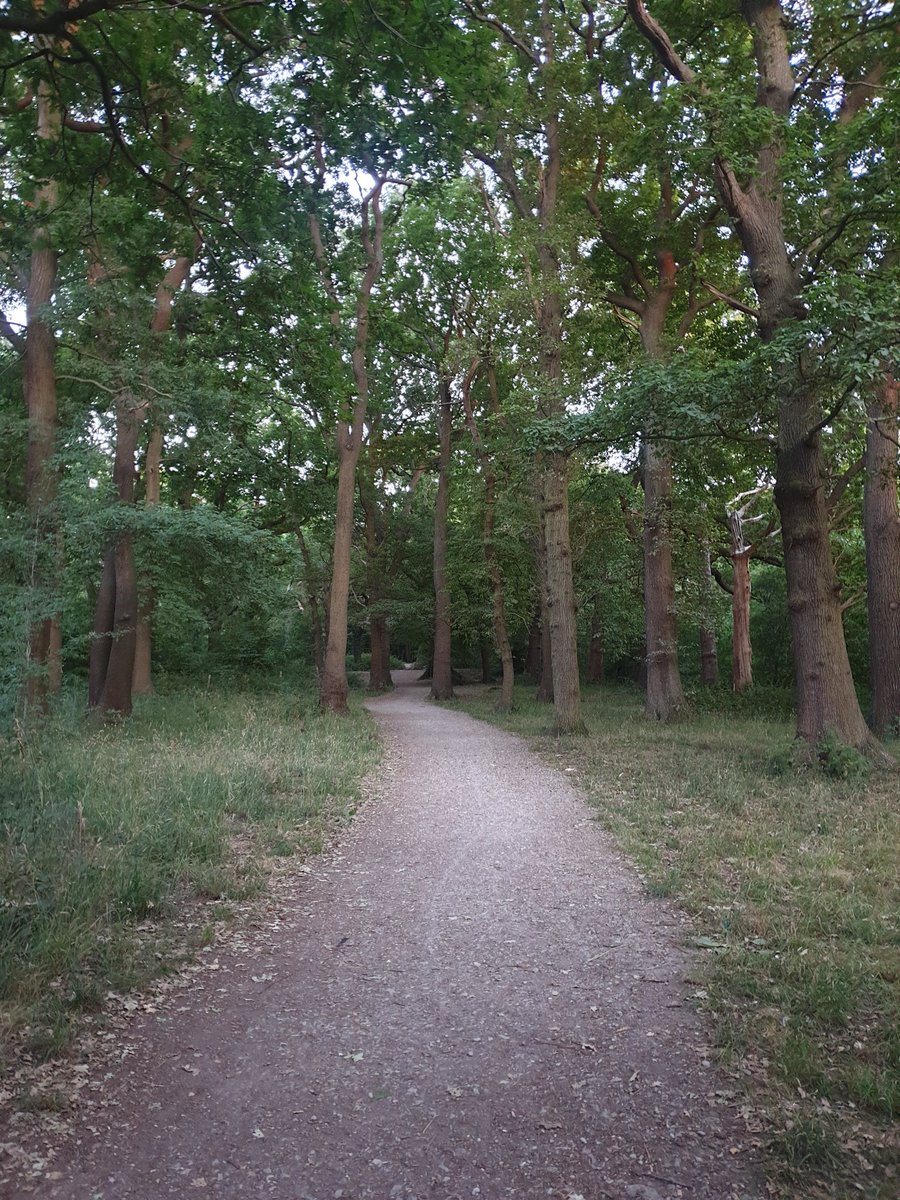 runwithandy's tweet photo. π€Back 2 Basics #5k run after a long last week of Mayfair food, drinks & fun!πππ«Άπ½ππͺ΅π #tuesdayvibes #active #fitness #brent #ealing #july #asics #workout #summer #london #goodevening #training #ukrunchat #shokzsquad #trailrunning #runwithandy #healthiswealth #runthroughuk https://t.co/2OOUHvRWSY
