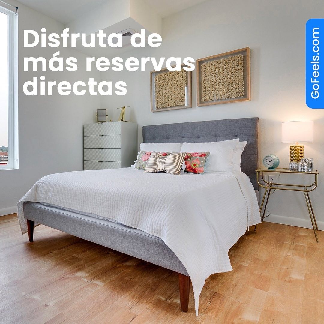 📌 Cuáles serán las herramientas gratuitas que ofrece <a href="/GoFeels/">GoFeels</a>  para Pymes, hoteles y hospedajes? 🤔🤔

Descúbrelo en la nota a continuación ✨👇👇

cutt.ly/7Lemxfh