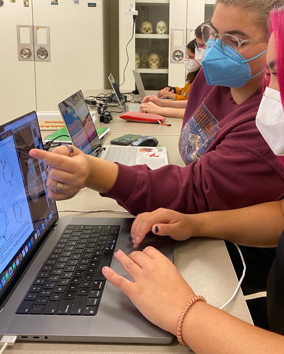 REU Bioarchaeology of Bronze Age Social Systems tweet media