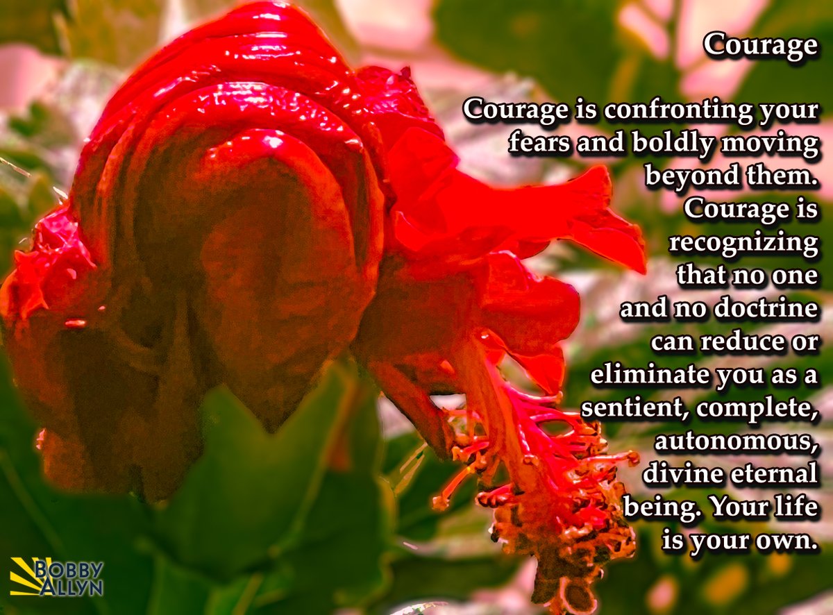 🌺 Daily Reflection  July 5, 2022 

Courage is confronting your fears and boldly moving beyond them. Courage is recognizing that no one and no doctrine...#selflove #selfcare #reflection #courage #fear #fearless #bold #inspiration #bobbyallyn