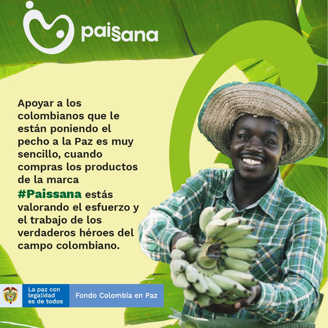 MinjusticiaCo's tweet photo. 👀 ¡Ojo ahí!, los productos #Paissana son tipo exportación, orgánicos y amigables con el medioambiente. Podemos encontrar desde el mejor cacao del mundo, premiado internacionalmente con #SelloDeOro🎖️, hasta mariscos empacados al vacío. Lo mejor de todo: calidad y precios justos💚 https://t.co/s47tcSYcPE