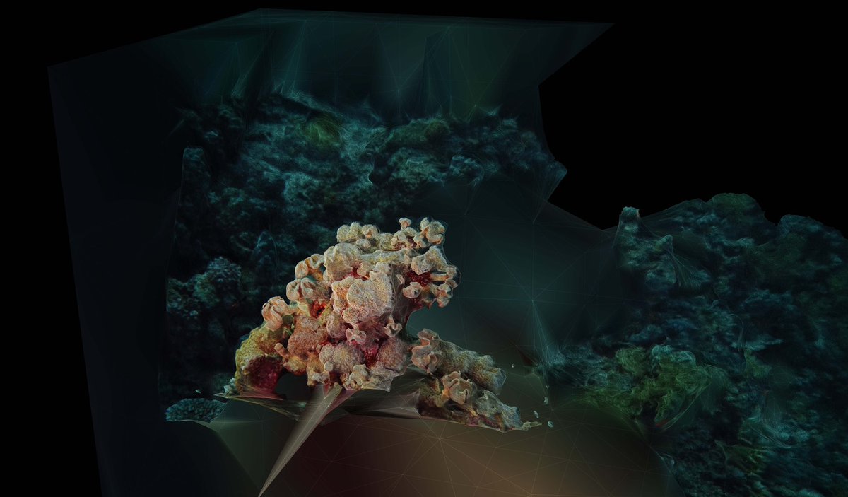 ___josemiel's tweet photo. fondo de bikini.html _ 👙
Made with @1null1 and @RealityCapture_ .
.

#newmedia #art #digitalart #newmediaart #contemporaryart #generativeart #videoart #generative #creativecoding #codeart #touchdesigner #media #video #virtualreality #artist #modernart #artandtechnology https://t.co/MN321xYTJS