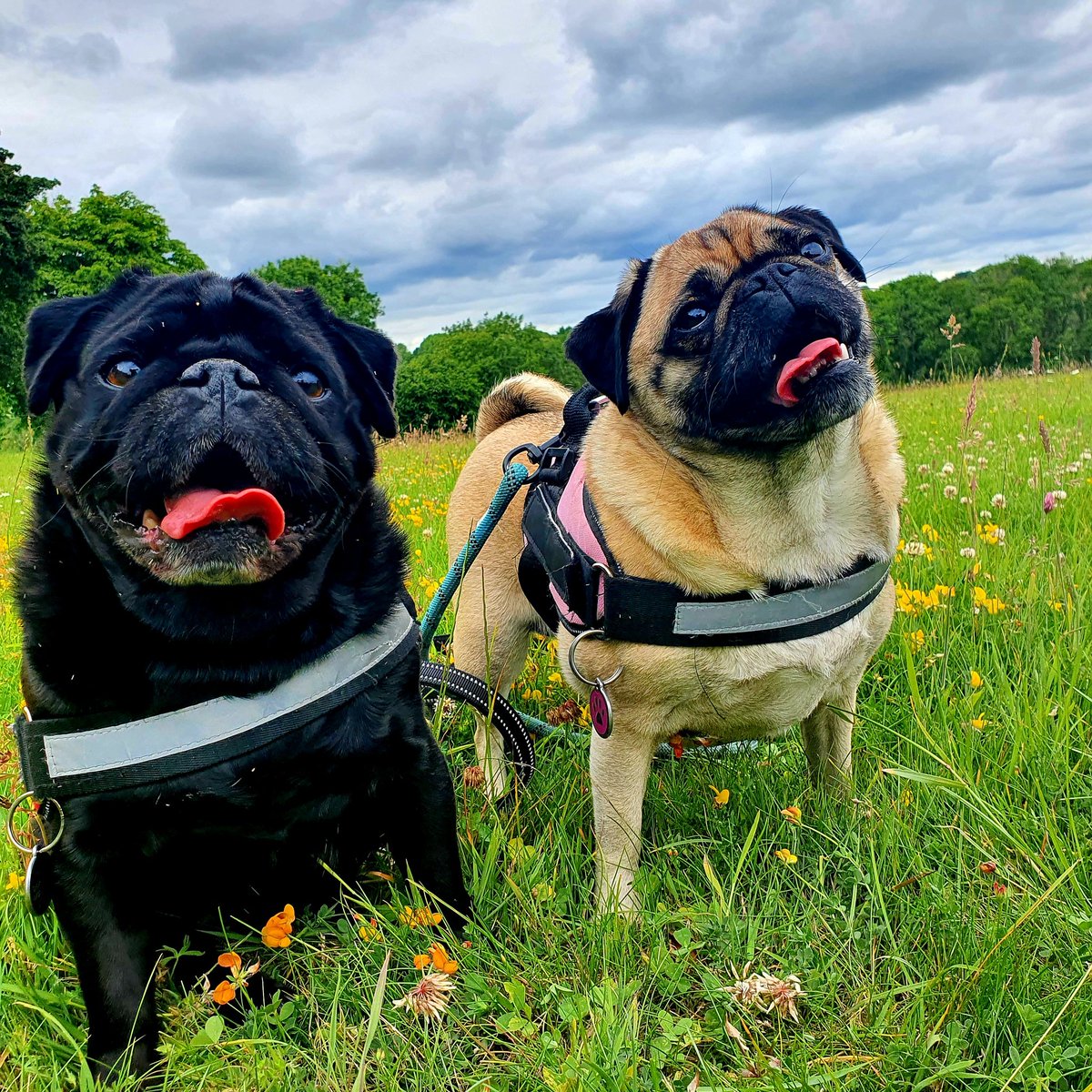 Glenn Bauer tweet media