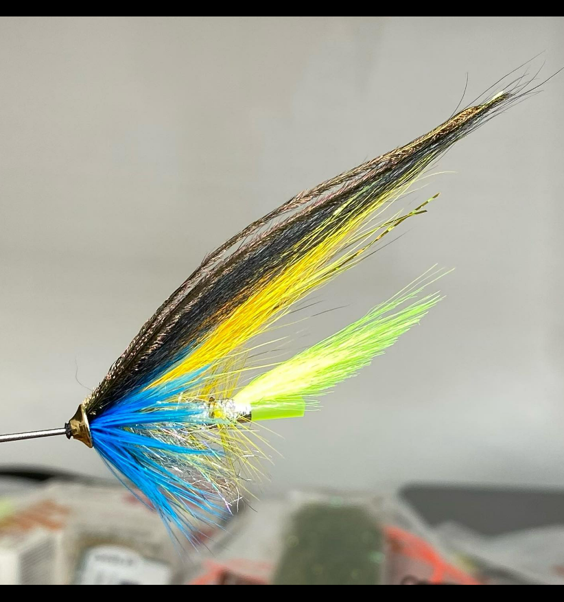 Saltwateronfly's tweet photo. I know some Brown Trout I would like to swing this past
@tonypetter
Tube flies, mix Frödin’s Scott and Moonshine fly😊Classic 
🦈
#speyfly #classicsalmonfly #deefly #steelhead #speyfly #tubefly  #steelhead #atlanticsalmon #speycasting #flyfishing #troutspey https://t.co/r0wKiajsZg