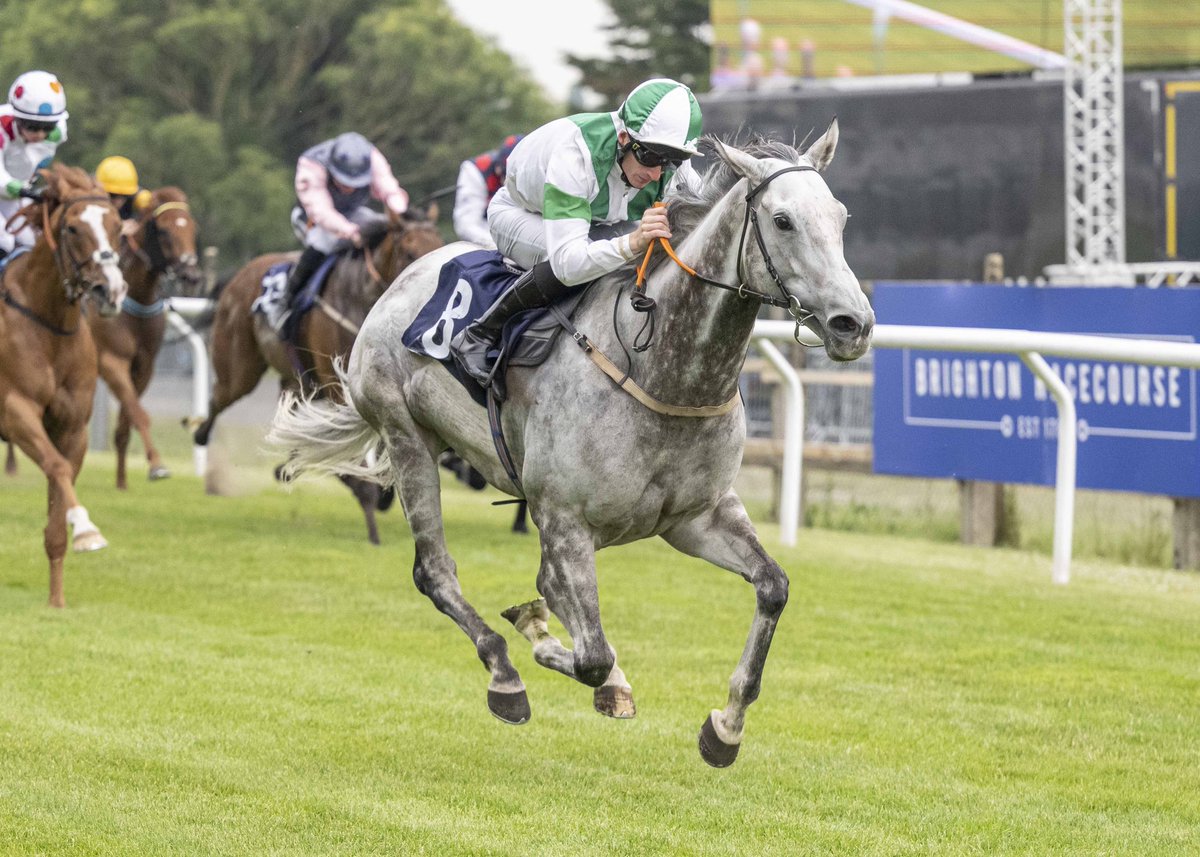 Brighton Racecourse tweet media