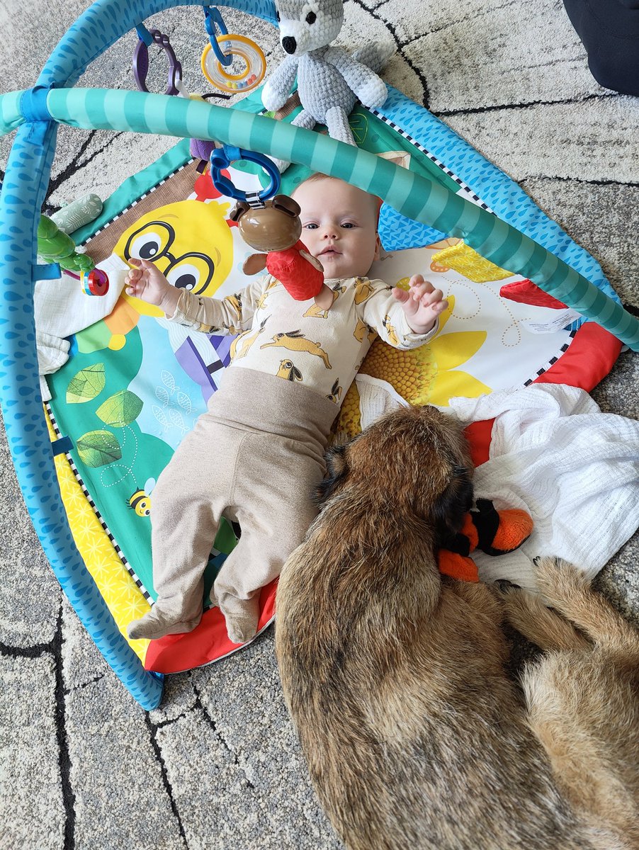 Being a parent is most rewarding thing in the world. You can't quite understand it until you experience it. #parenthood