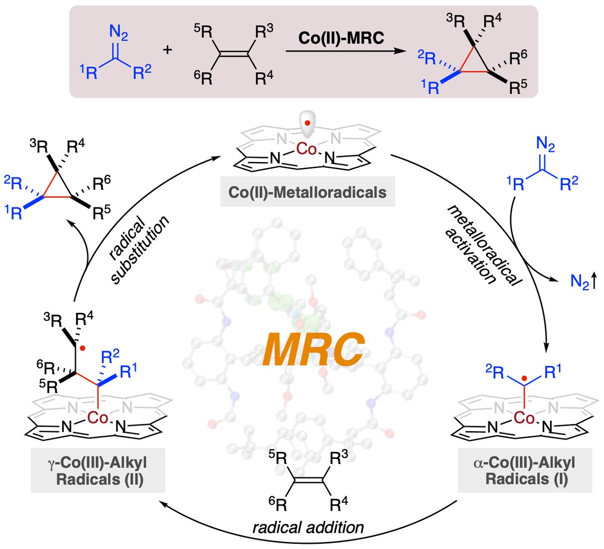 A short description on asymmetric radical cyclopropanation of alkenes via Co(II)-based metalloradical catalysis (MRC) as “Mechanism of the Month” @TrendsChemistry #MetalloradicalCatalysis doi.org/10.1016/j.trec…