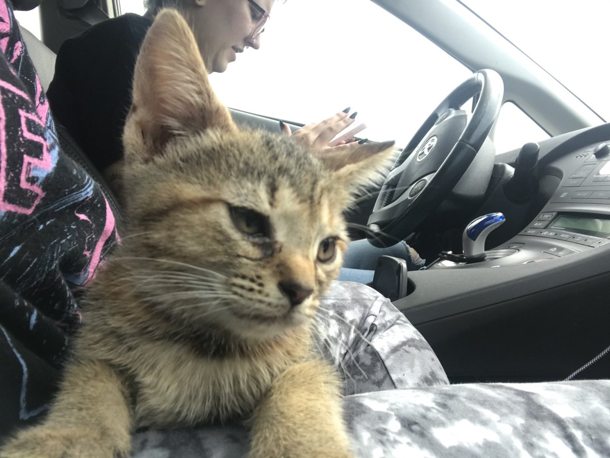 Our new baby, Moon 🌙 🥰 <a href="/Elisabe48685591/">Eros-alexandria</a>