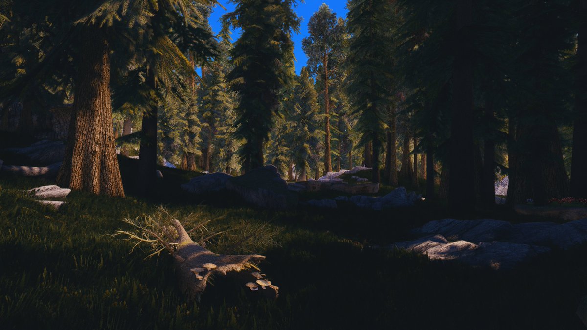 ZeroKing tweet media