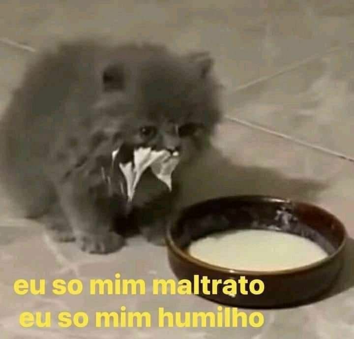 dwikko design | REFORMA : slow/hiatus tweet media