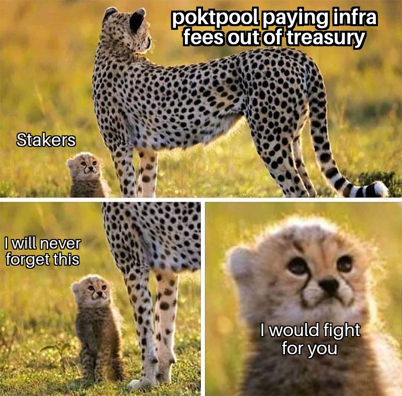 poktpool's tweet image. Our stakers are always our number one priority ❤️