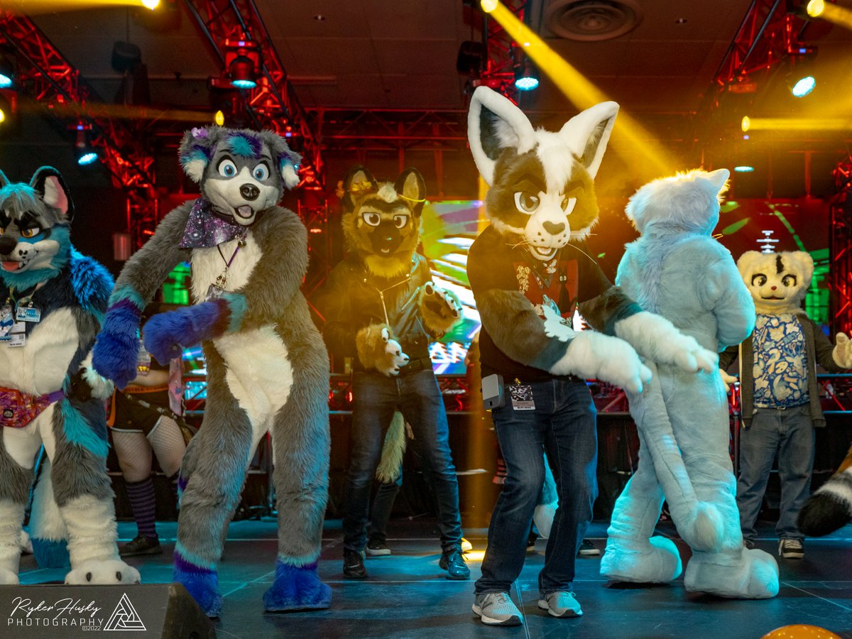 RykerHusky's tweet photo. My #BLFC2022 #BLFC22 Saturday Night Dances photos are finally finished.  https://t.co/DsfwNJu0UX

🐶: @ZillionRoss @SyrupDesolation @TaebynPup @KaptainArr and many others

#FursuitFriday https://t.co/NeNQEnO5Cw