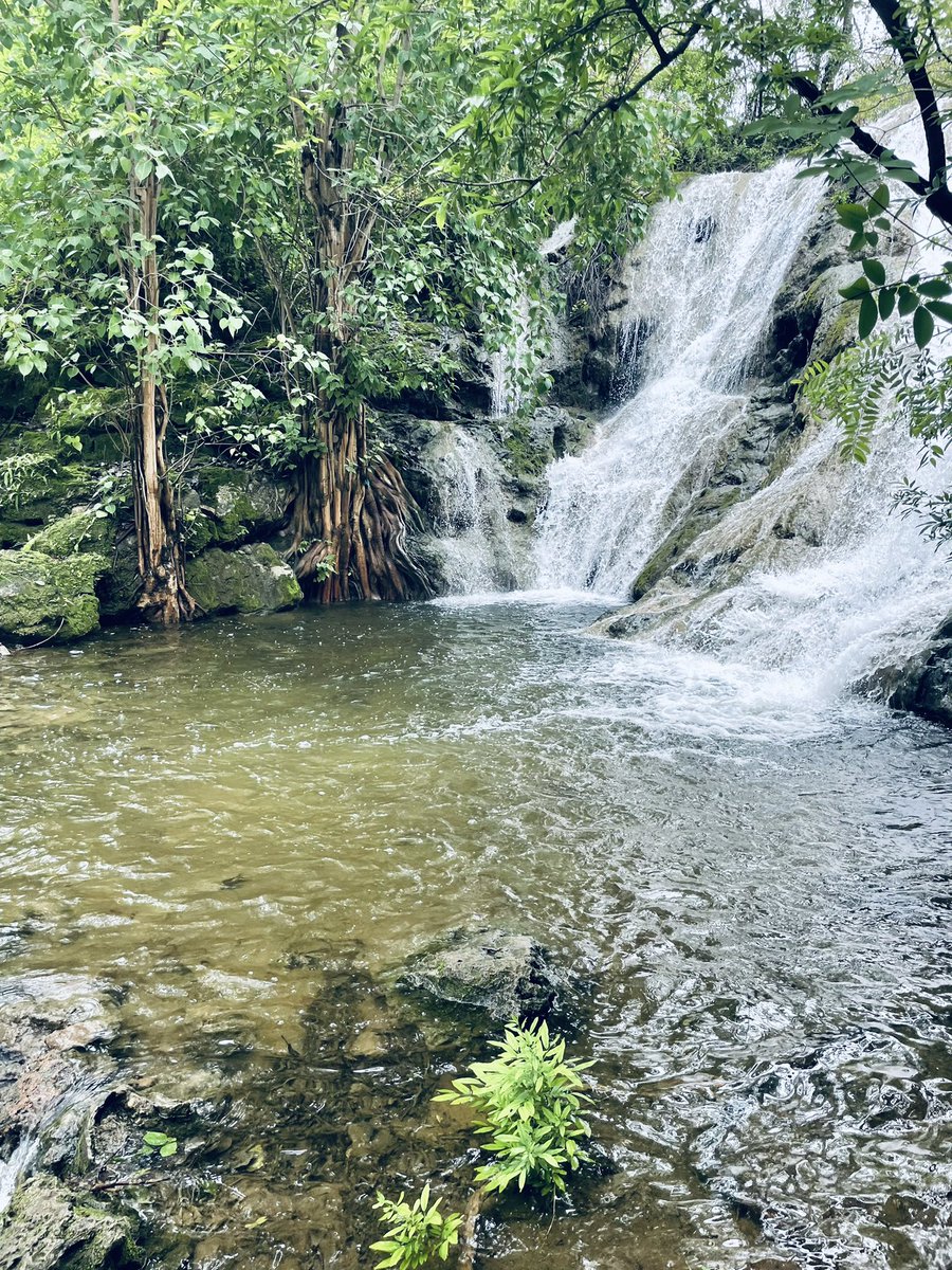 aclb_kb's tweet photo. Welcome to Asifabad! #Waterfall season starts. Enjoy drive through  enchanting forests 🌳😍 Take a dip at Chintalmadara and Ulipetta waterfalls in Tiryani mandal. #Tribaltourism #ecotourism https://t.co/JH22R71OMI