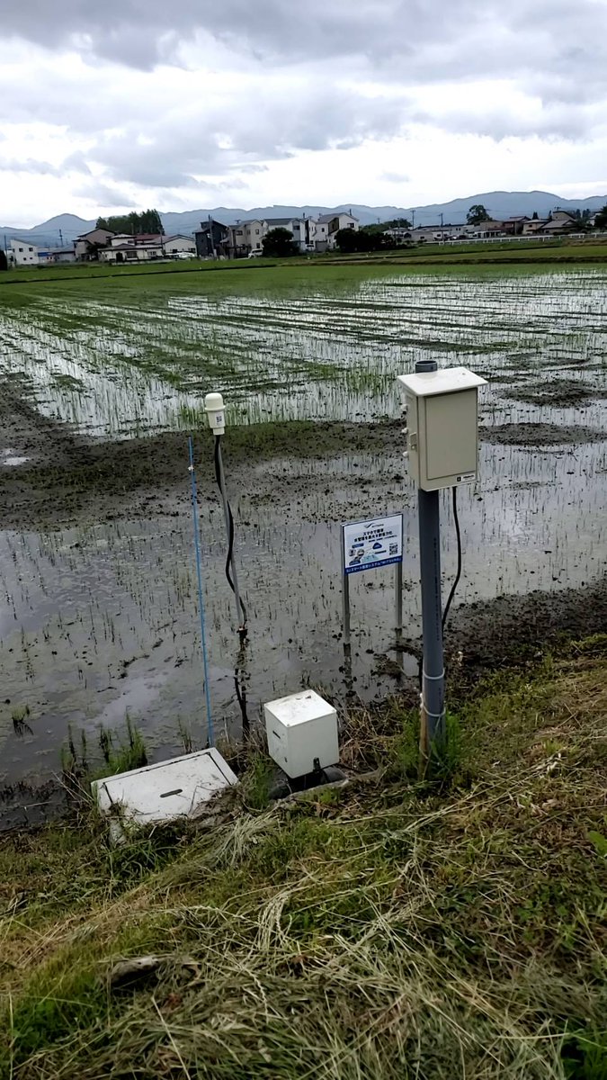IIJ_mitsuha's tweet photo. 宮城県登米市でIIJ 水田センサーとPaditch Valve設置場所に看板を設置いただきました！

看板の右下にあるQRコードを読み込めば、MITSUHA サイトへ飛べます！
○MITSUHAブランドサイト
https://t.co/iBgoFff1mz

#MITSUHA
#LoRaWAN
#Paditch
#水管理
#スマート農業 https://t.co/B7oG6gvnnD