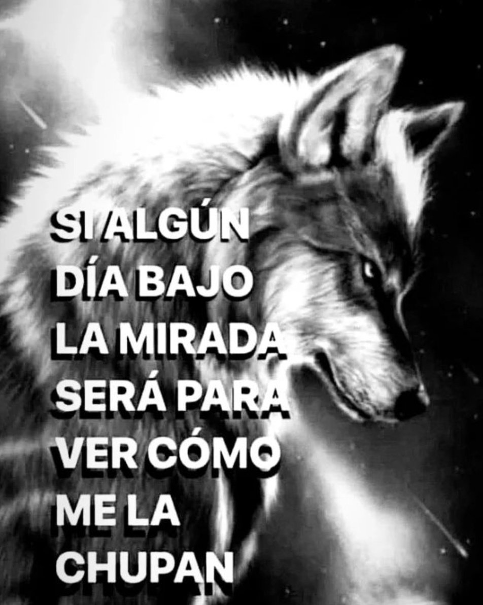 Rolita (@_onerolita) on Twitter photo 